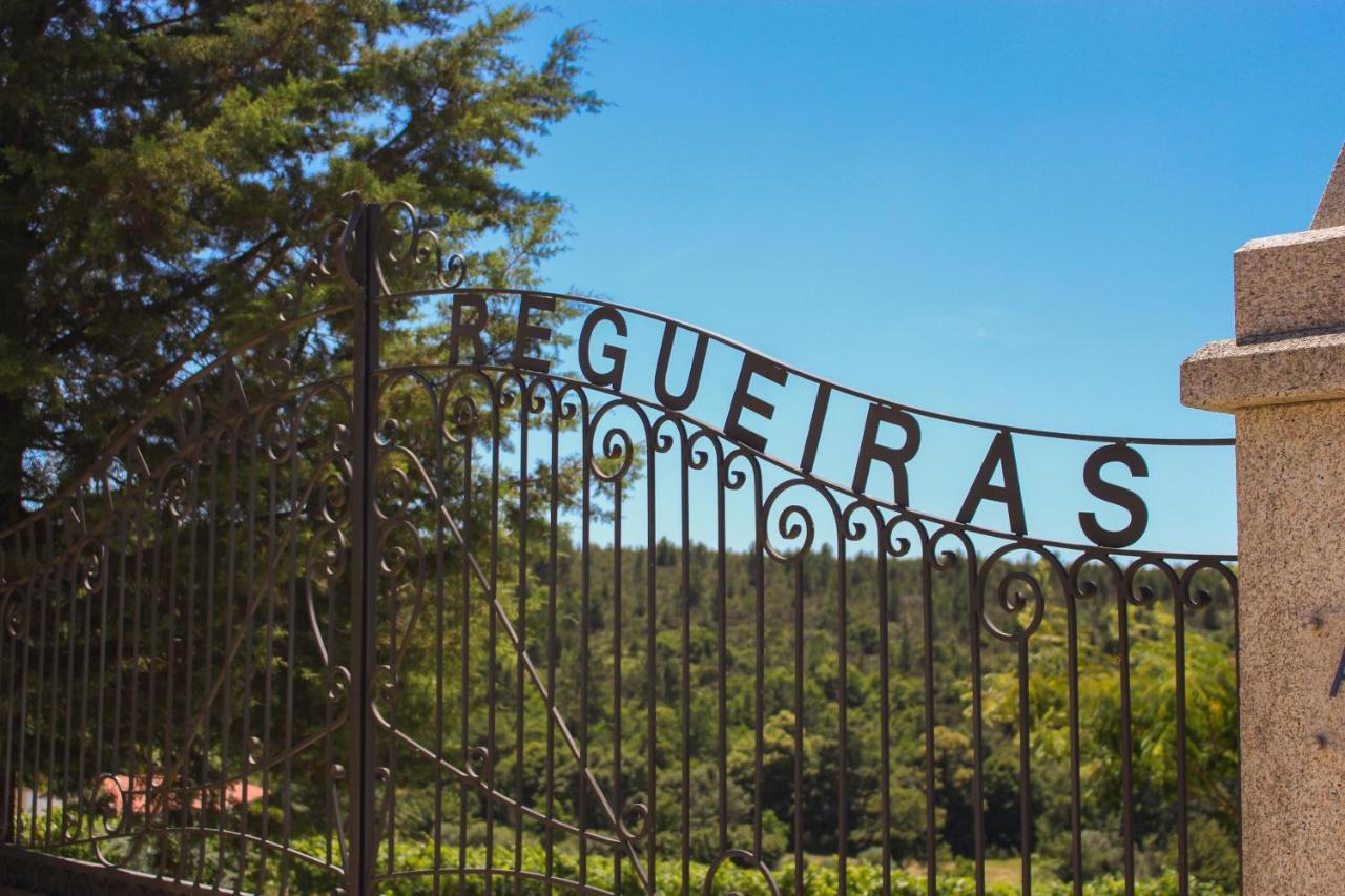 ויסאו Quinta Das Regueiras מראה חיצוני תמונה
